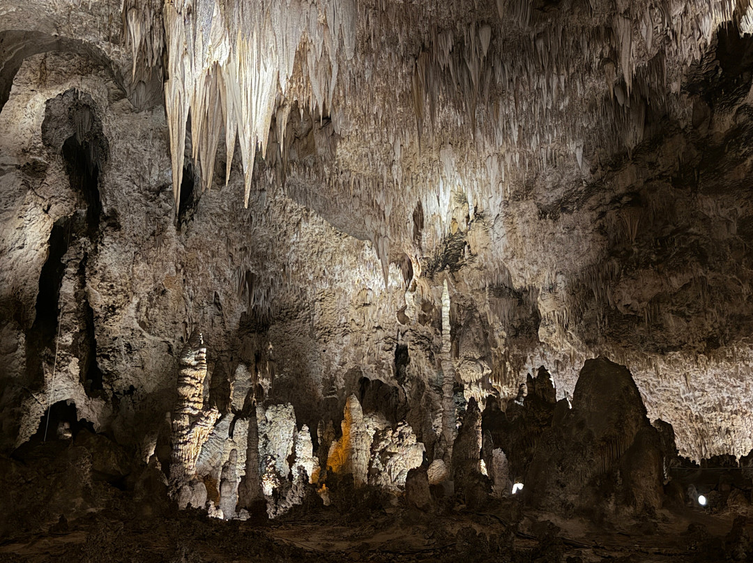 Big Room-卡尔斯巴德洞穴国家公园必去景点