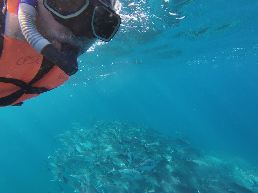 Cabo Pulmo Sport Center-Cabo Pulmo必去景点