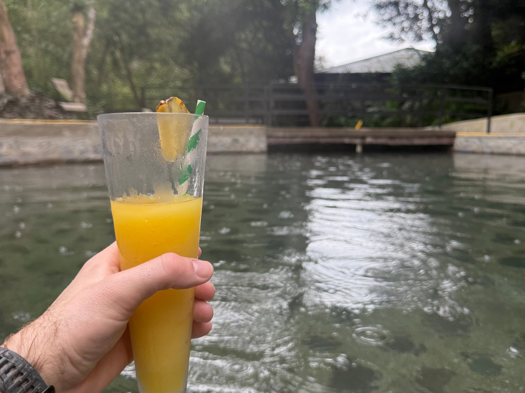 Matt's Fishing & Tours-萨迪纳尔必去景点