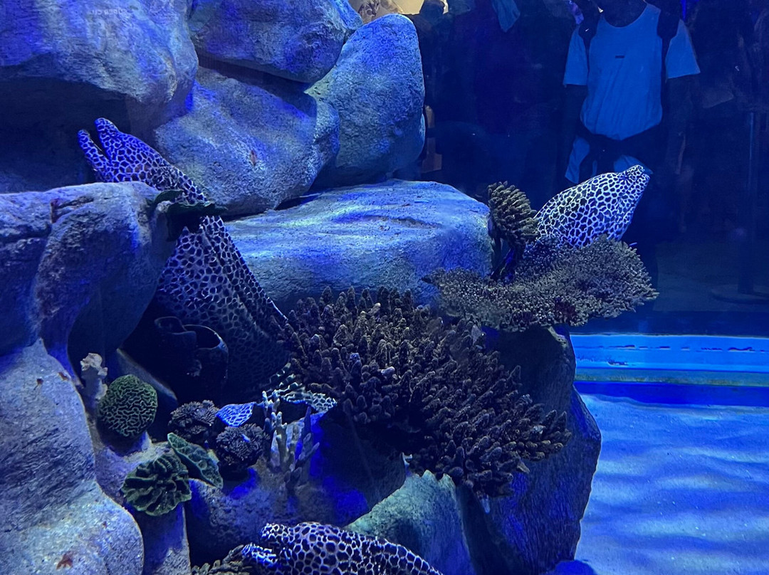 AquaRio-里约热内卢必去景点