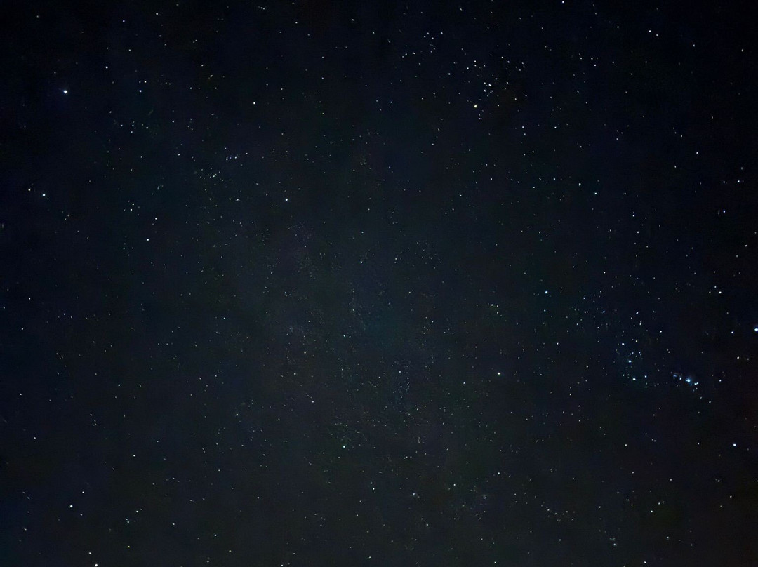 Discover Tenerife VIP Tours-圣克鲁斯-德特内里费必去景点