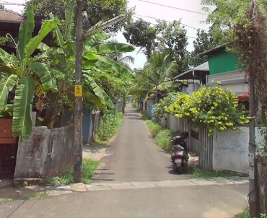 BluSalz Collection LHASA Ayurveda & Wellness Resort主图