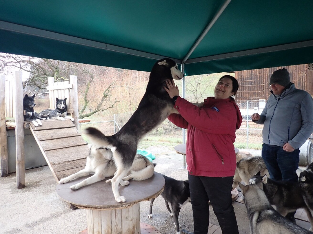 Fischer Adventures Day Tours-圣加仑必去景点