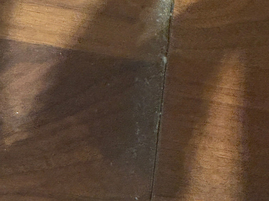 The Avenue Hotel主图