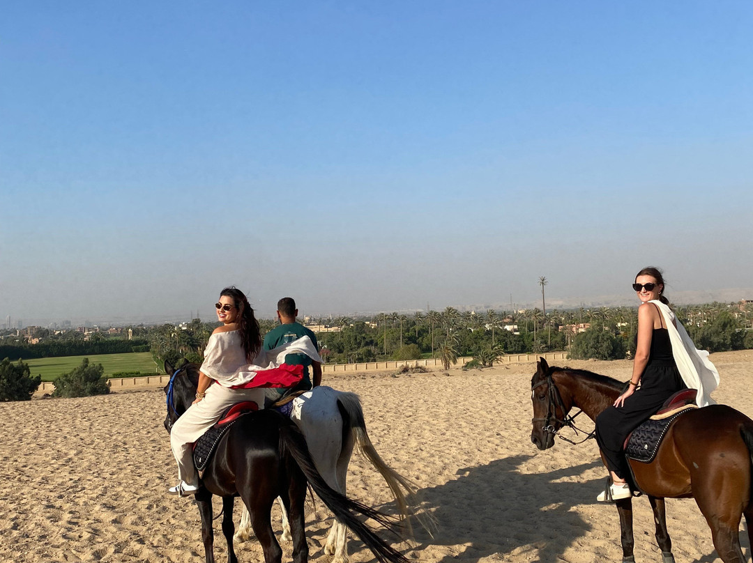 Cairo Horse Riding School-吉萨必去景点