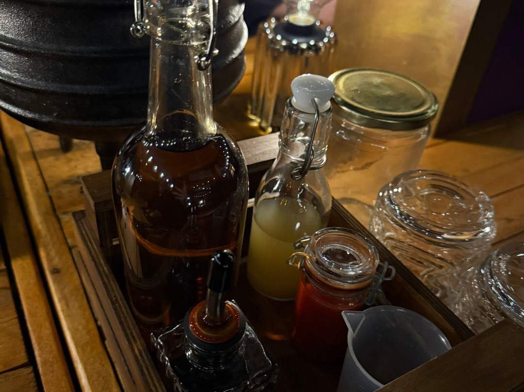 Elixer Room-海牙必去景点