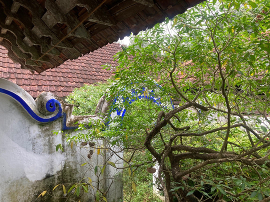 Kilimanoor Palace-提卢湾安塔普兰（特里凡德伦）必去景点