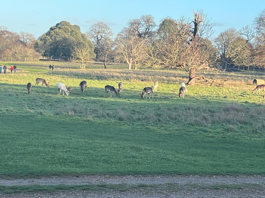 National Trust - Charlecote Park-沃里克必去景点