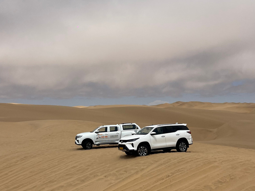 iVenture Sandwich Harbor Tours & Guides-华维斯湾必去景点