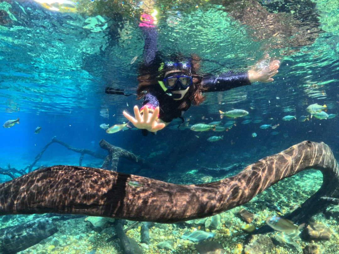 Rio da Prata-南马托格罗索州必去景点