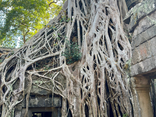 Trusty Tuk Tuk-暹粒必去景点