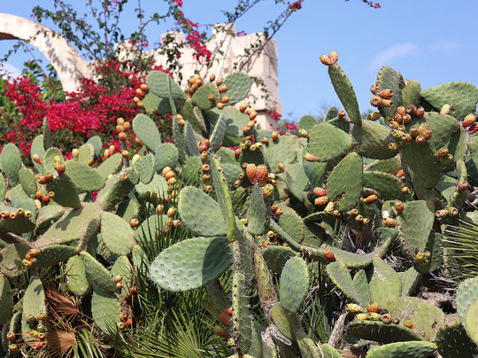 Spiaggia dei due mari-Portopalo di Capo Passero必去景点