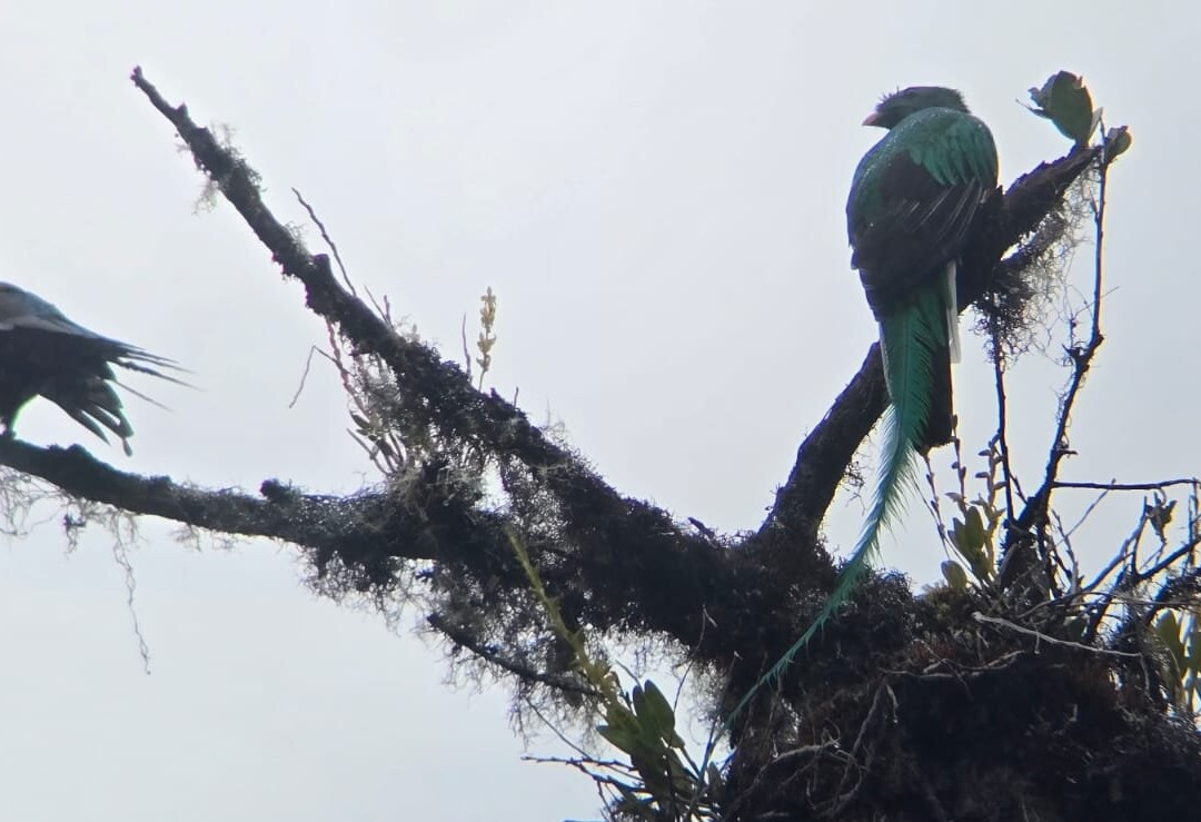Highland Birds Tours-多塔圣赫拉多必去景点