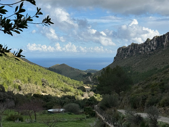 Parc Natural de la Península de Llevant-Arta必去景点