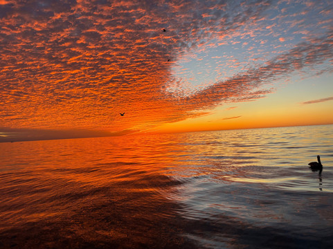 Brothers Sport Fishing - San Diego Fishing Charters-圣地亚哥必去景点