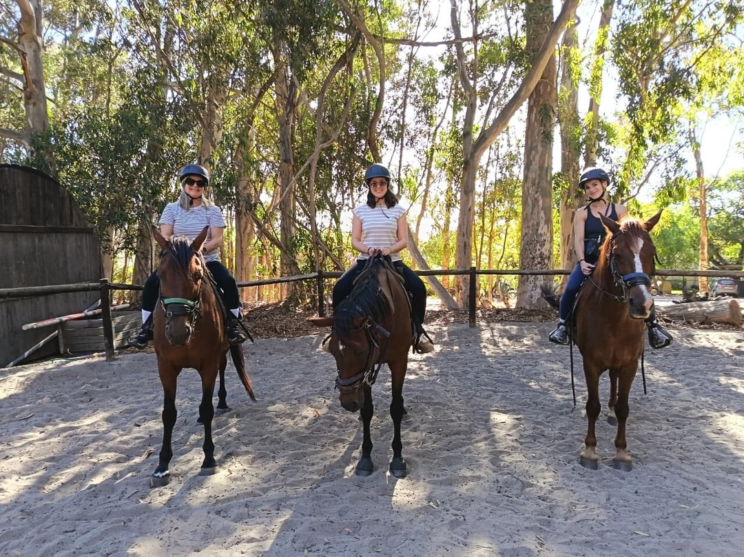 Heaven and Earth Trails-赫曼努斯必去景点