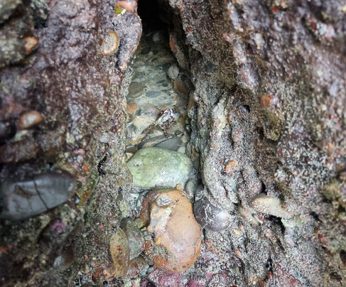 Wharariki Beach-Puponga必去景点