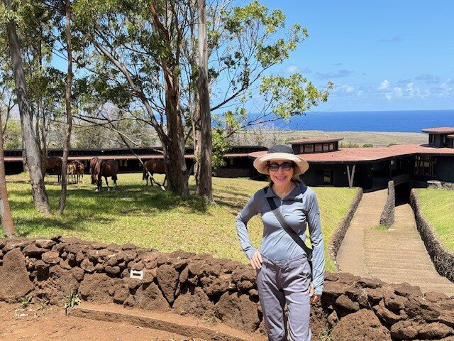 Rapa Nui by Explora-浴室