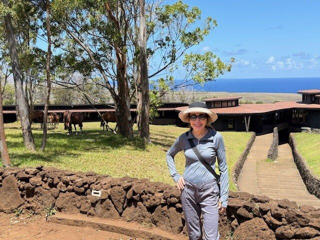 Rapa Nui by Explora主图