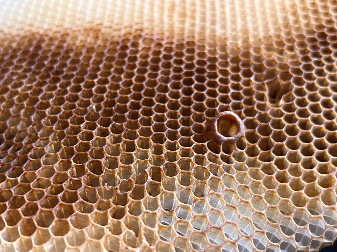 Lushoto Apiculture Museum