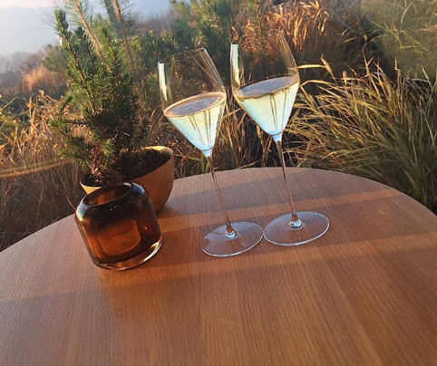 Luisenhöhe - Gesundheitsresort Schwarzwald主图