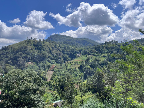 Lanka Travel Plan - Day Tours-康提必去景点