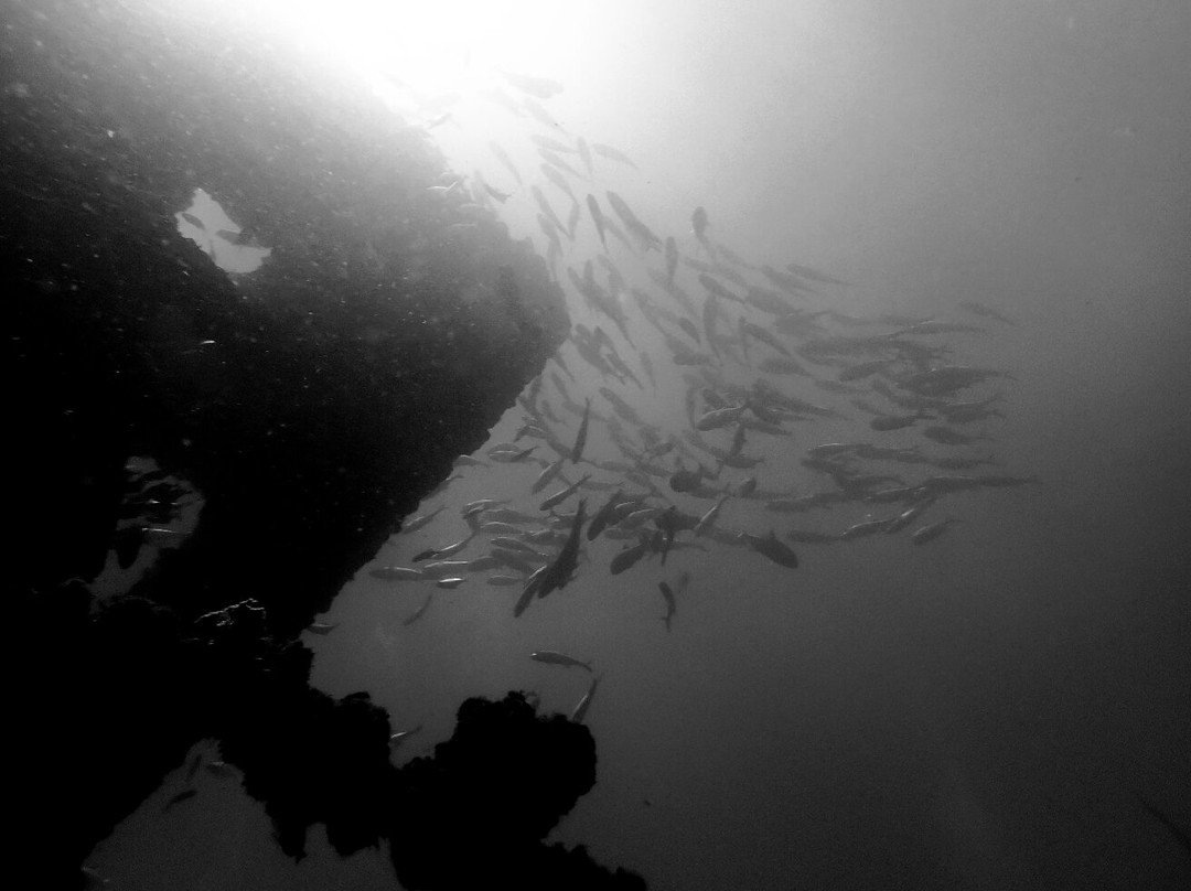 Scuba World-穆鲁拉巴必去景点