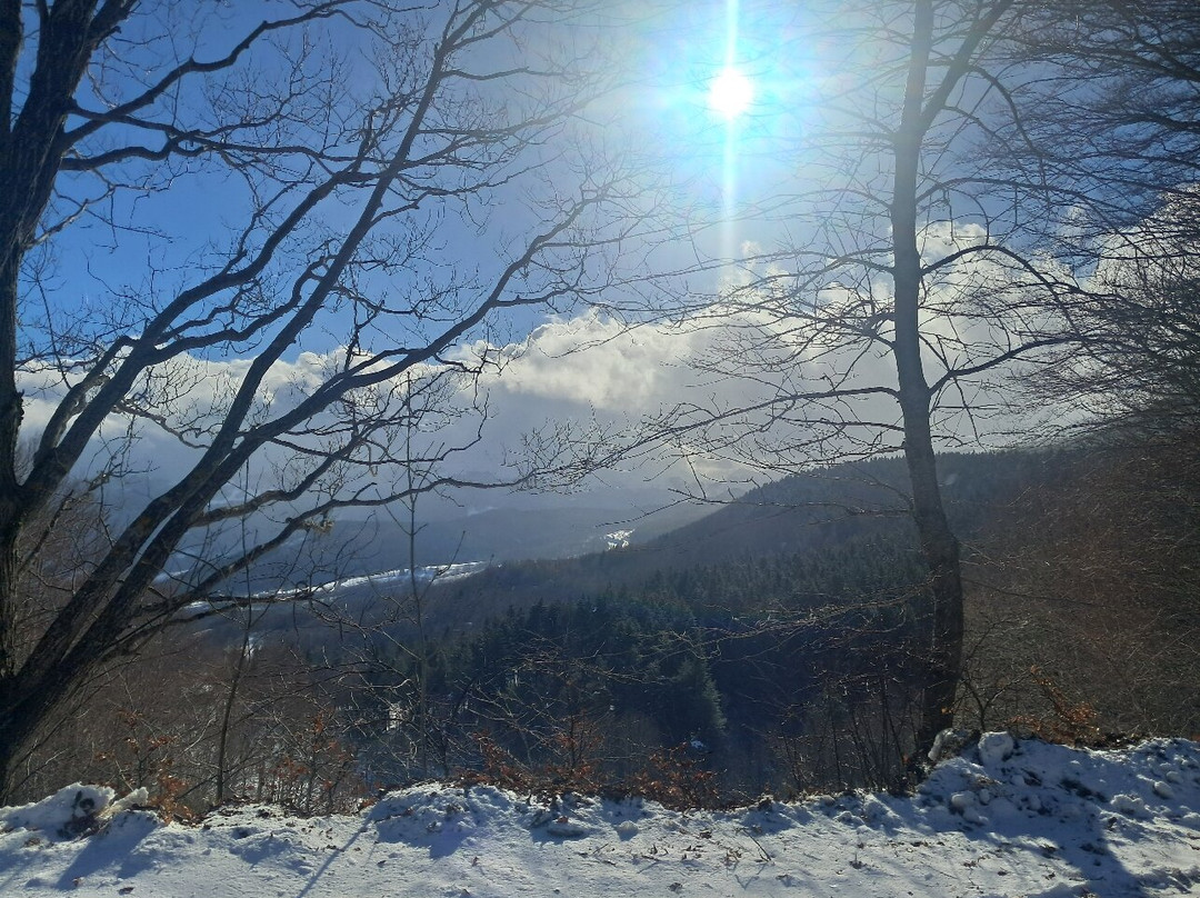 Fanano酒店住宿-Hotel Pineta