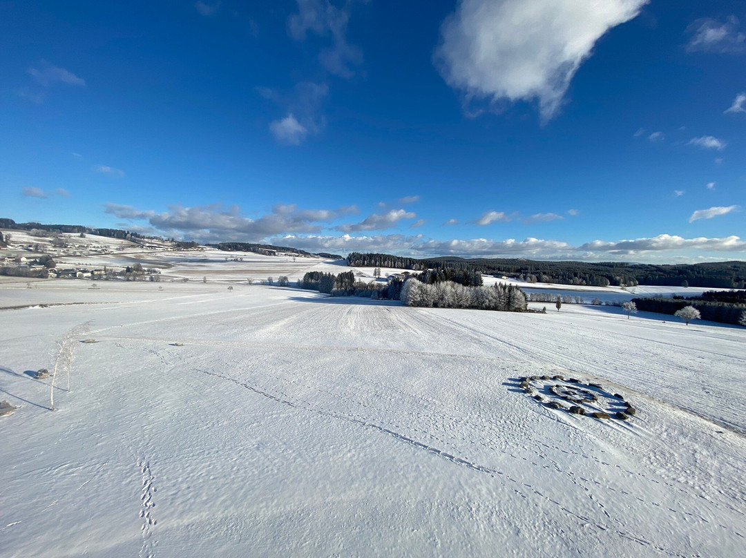 Falkensteiner Hotel Bad Leonfelden主图