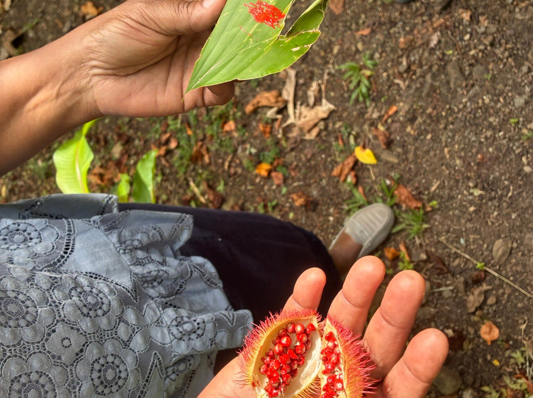 Ecotours Jardin Creole-Le Marin必去景点