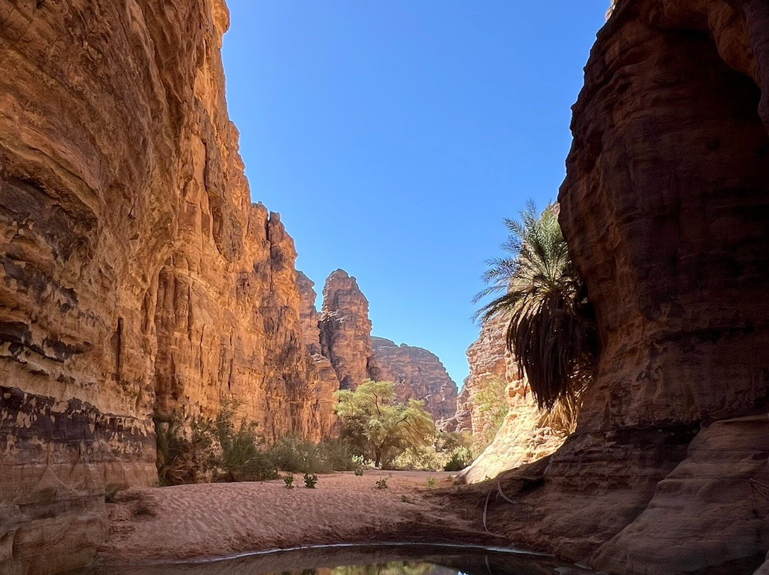Mouflon Tourisme-Tamanrasset必去景点