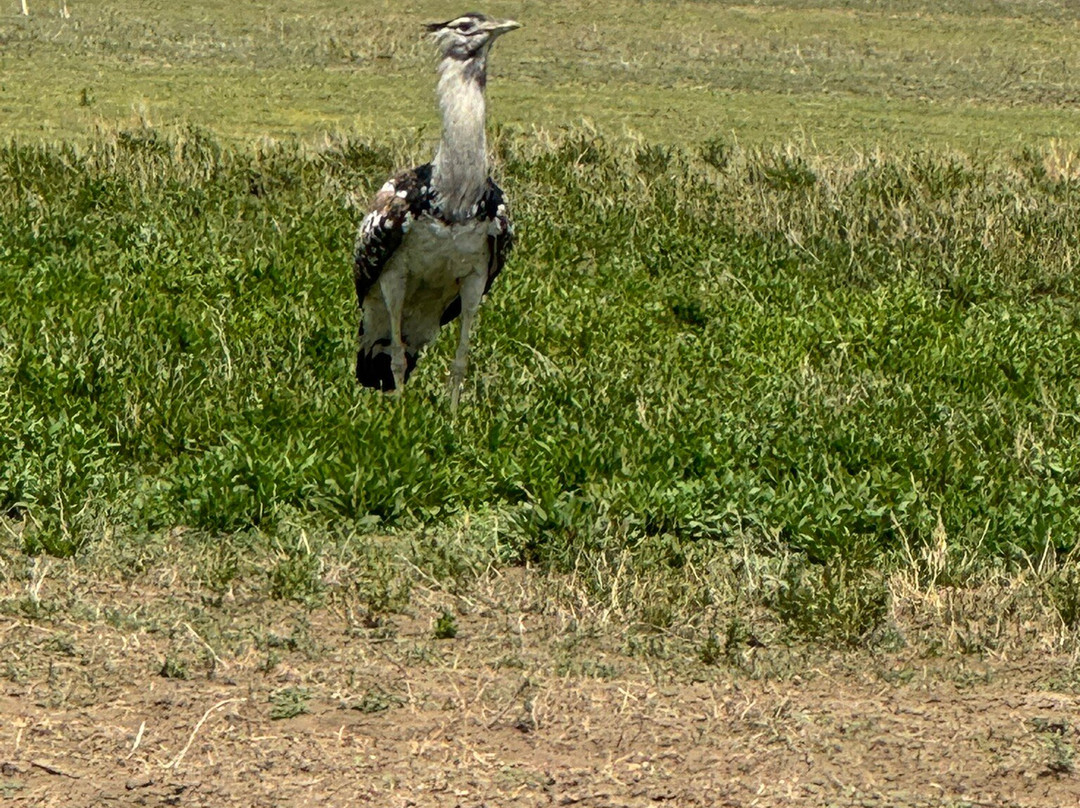 Tansania Reiseabenteuer SDL GmbH-柏林必去景点