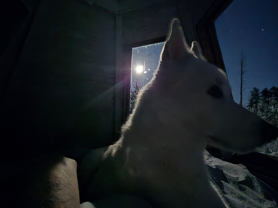 Aurora Borealis Adventures-Vindeln必去景点