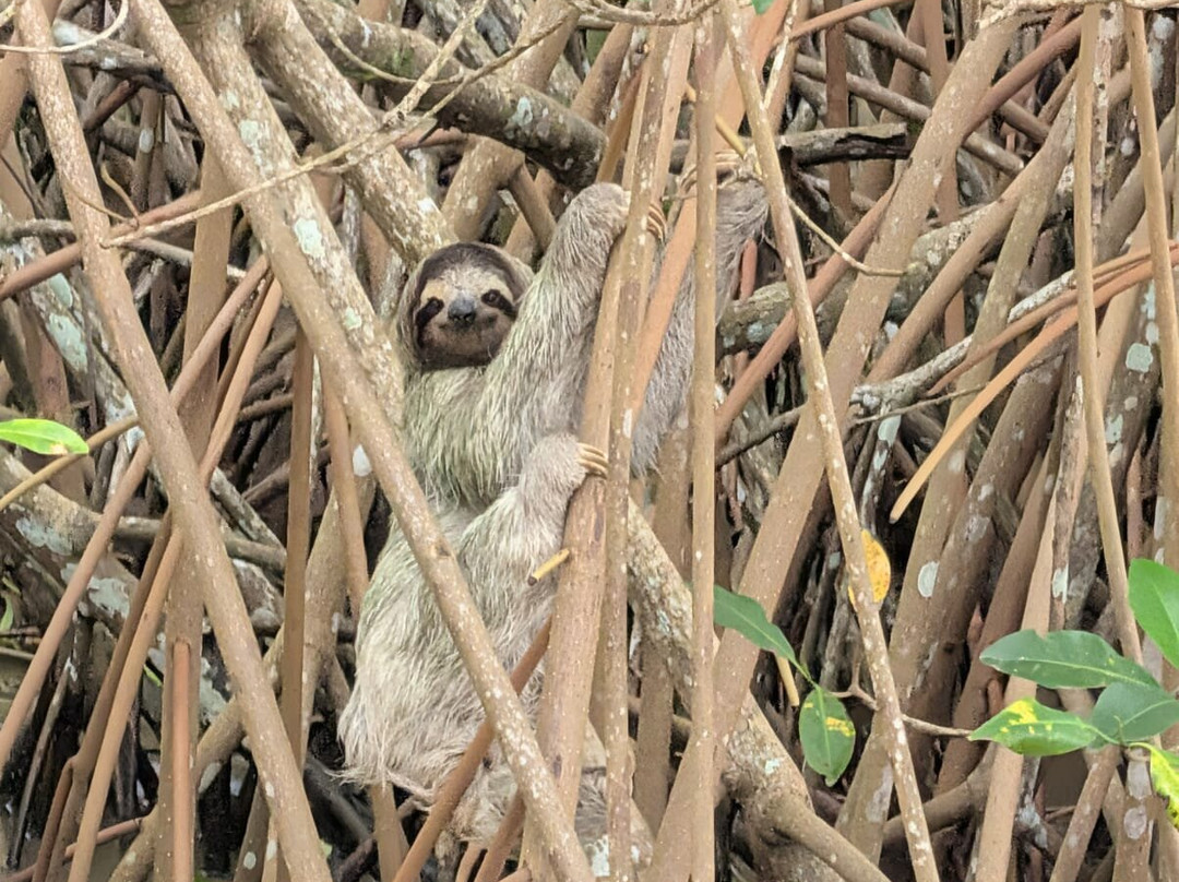 Maratopia-利蒙港必去景点