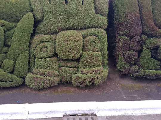 Cementerio de Tulcán-Tulcan必去景点