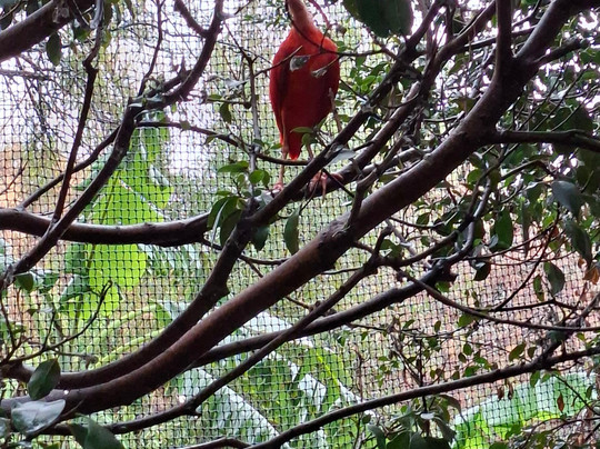 Selwo Marina-班纳玛德纳必去景点