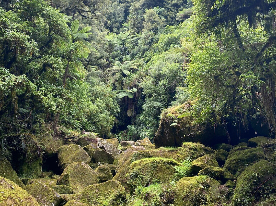 Real  Native  -  Walking Retreat-Te Awamutu必去景点