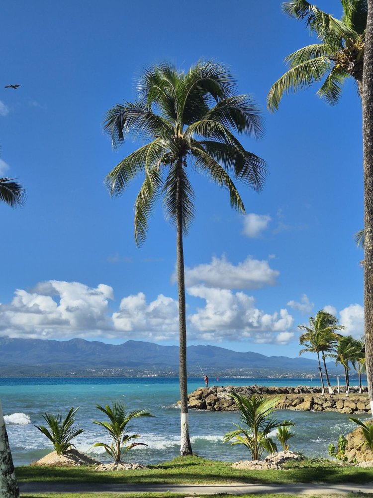 Hotel Fleur d'Epee-泳池