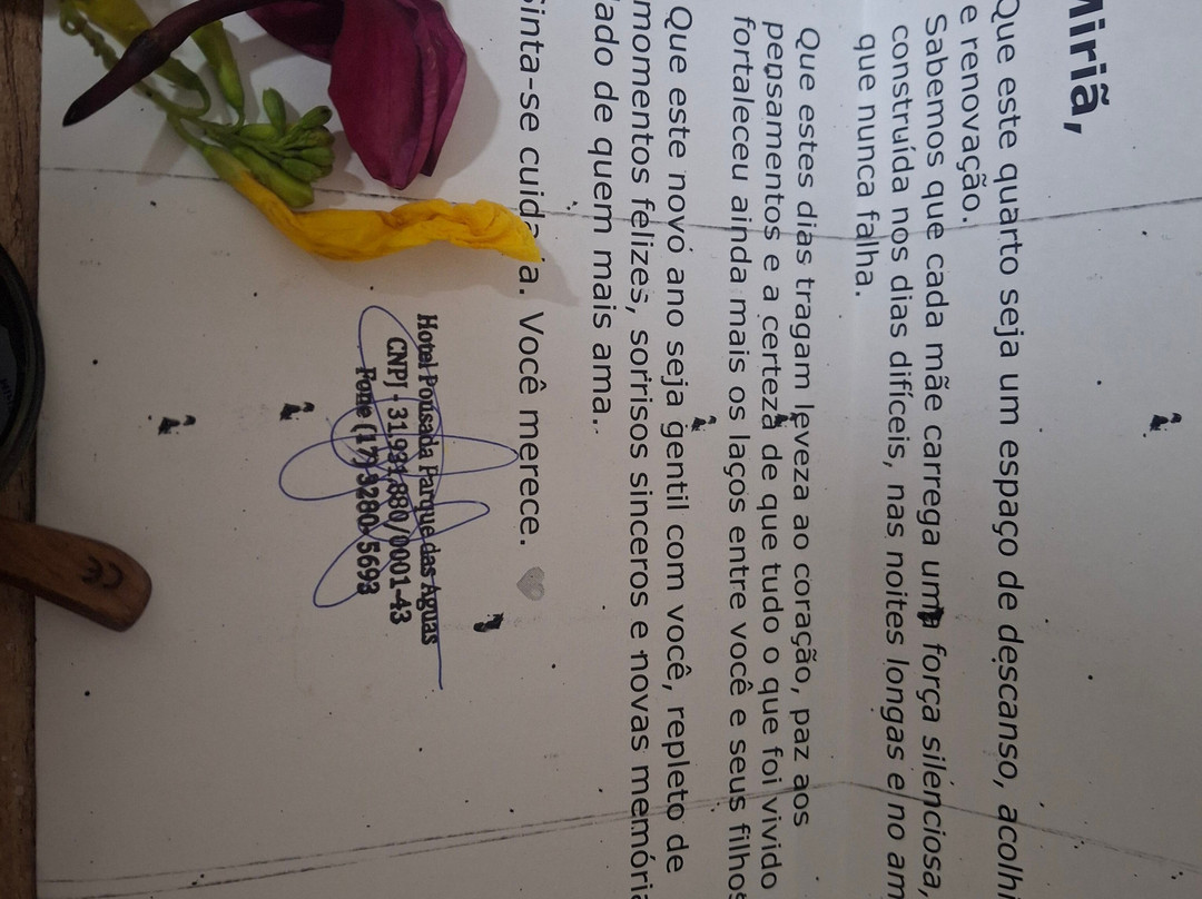 水上乐园旅馆酒店主图