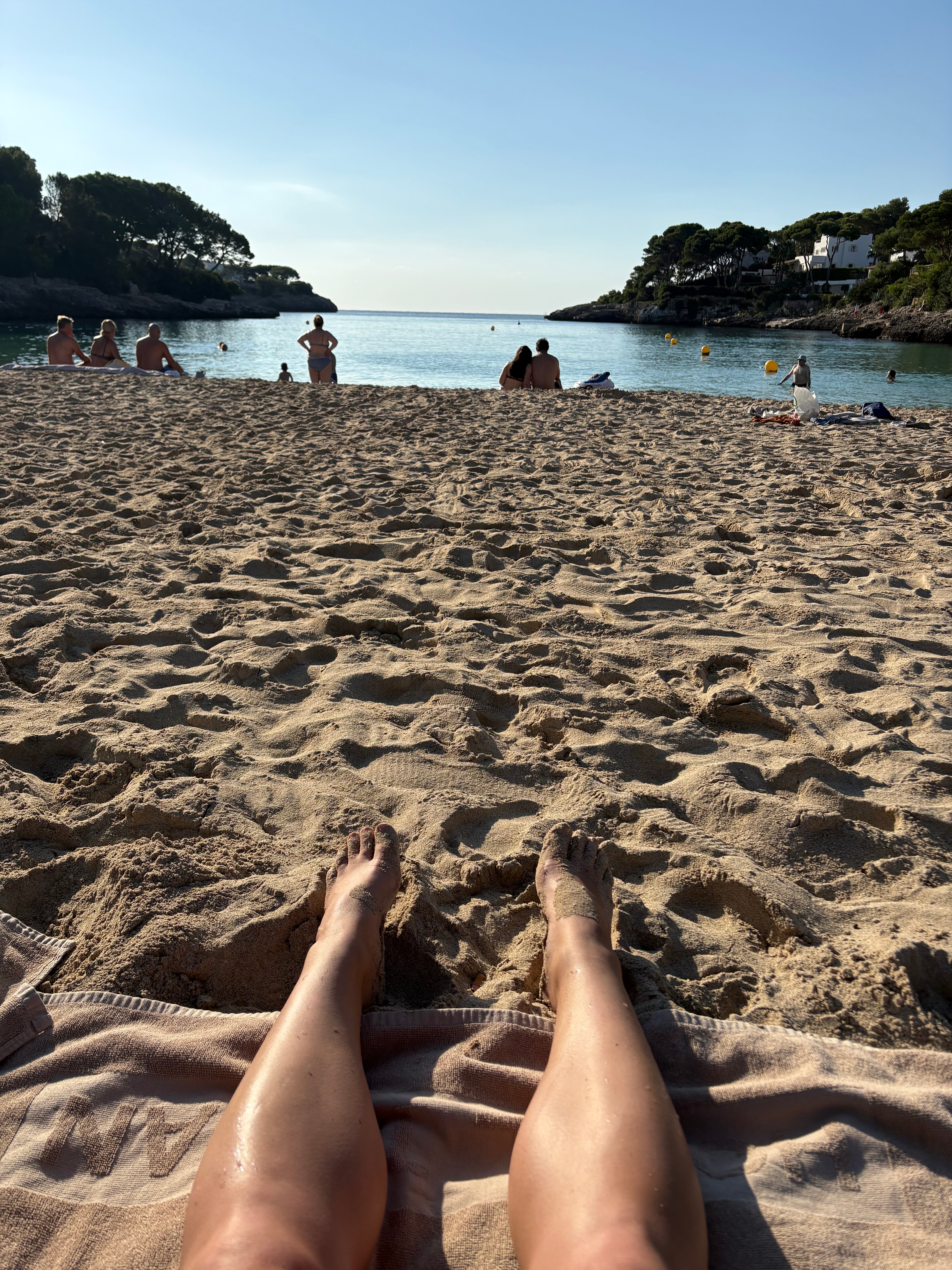 Sentido Fido Tucan-泳池