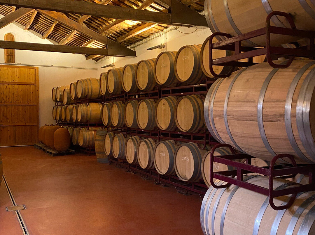 Parés Baltà-Pacs del Penedes必去景点