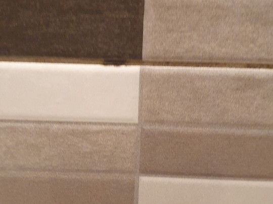 普瑞米尔格兰露斯酒店主图