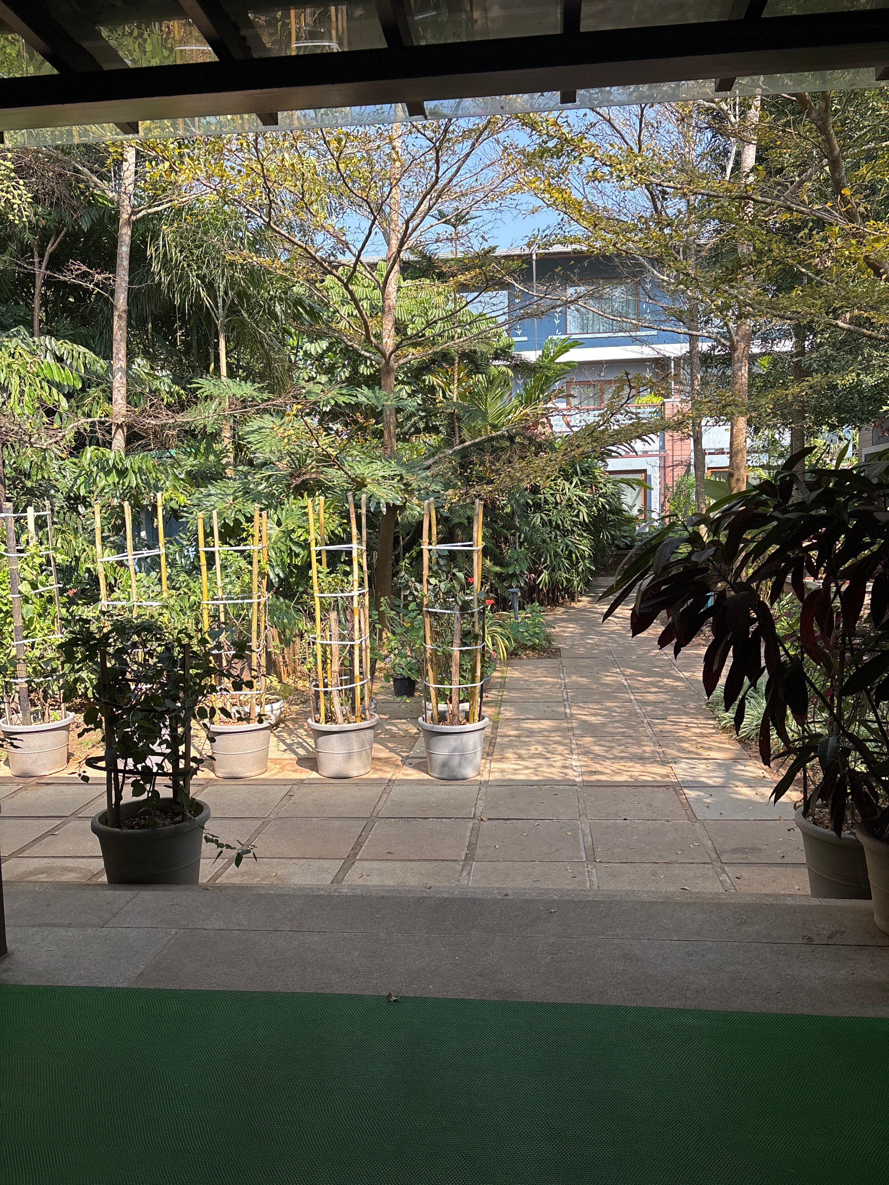 Purple Palms Resort & Spa, Coorg-官方