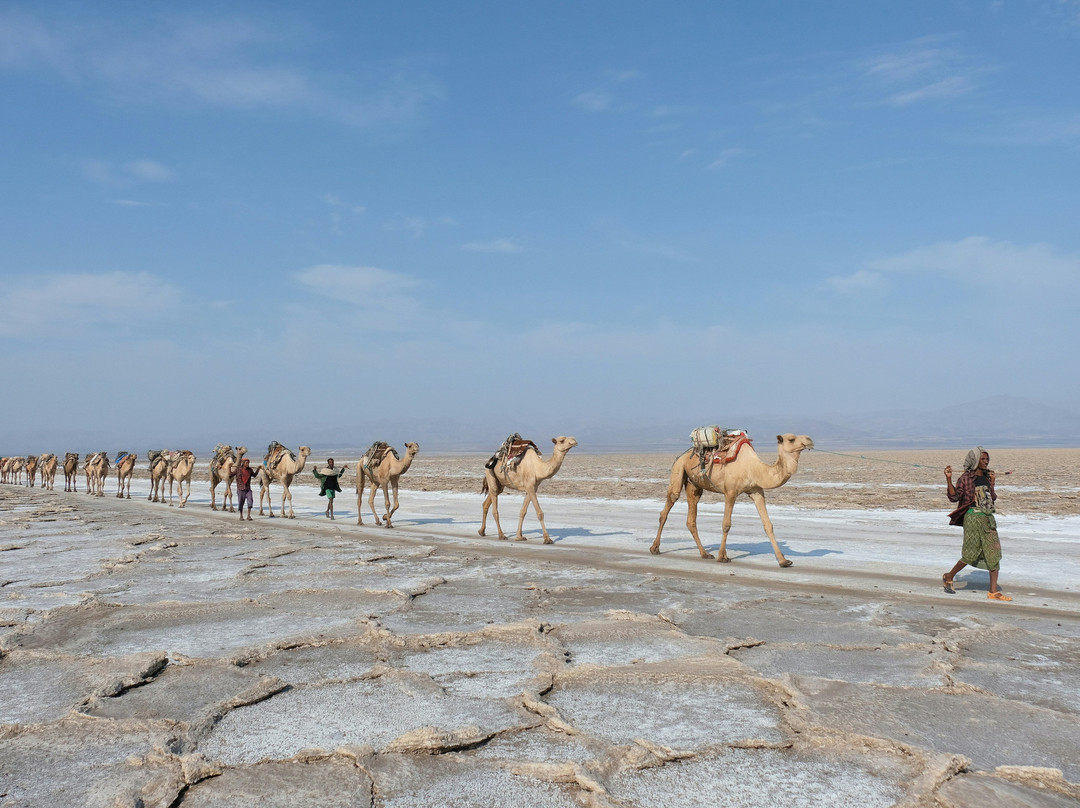 Afro Ethiopia Tour-亚的斯亚贝巴必去景点