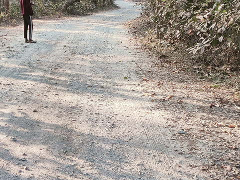 Whistling Woodzs Jungle Resort in Dandeli