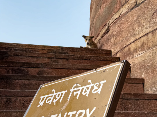 Z India Tours-斋蒲尔必去景点