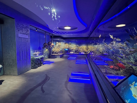 Murmansk Regional Museum of Local History-摩尔曼斯克必去景点