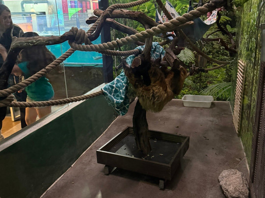 OdySea Aquarium-斯科茨代尔必去景点