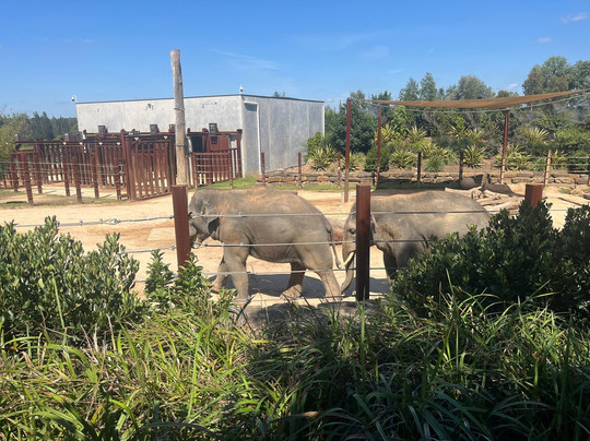 Sydney Zoo-布莱克敦必去景点