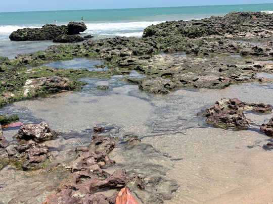 Hotel VentoBrasil主图